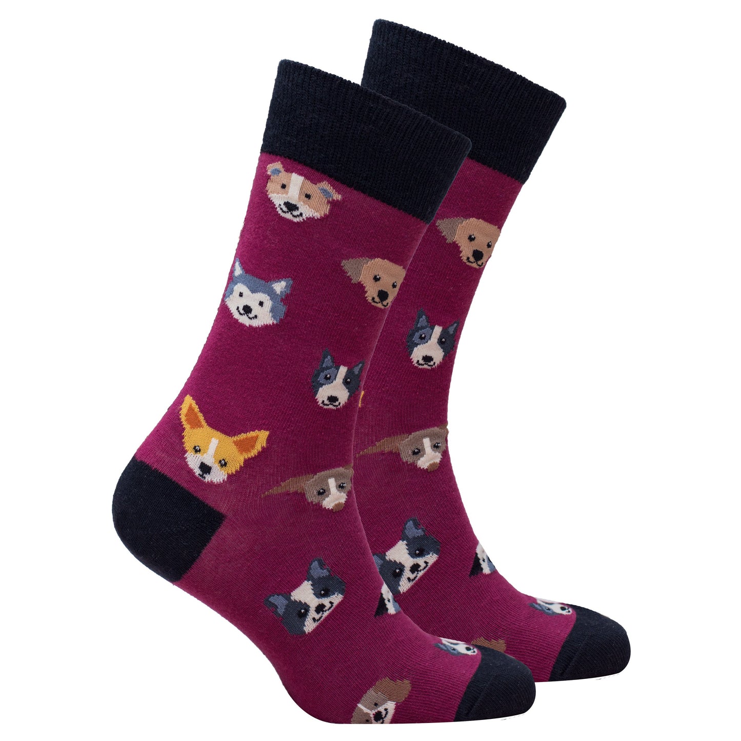 Men's Dogs Socks Bundle